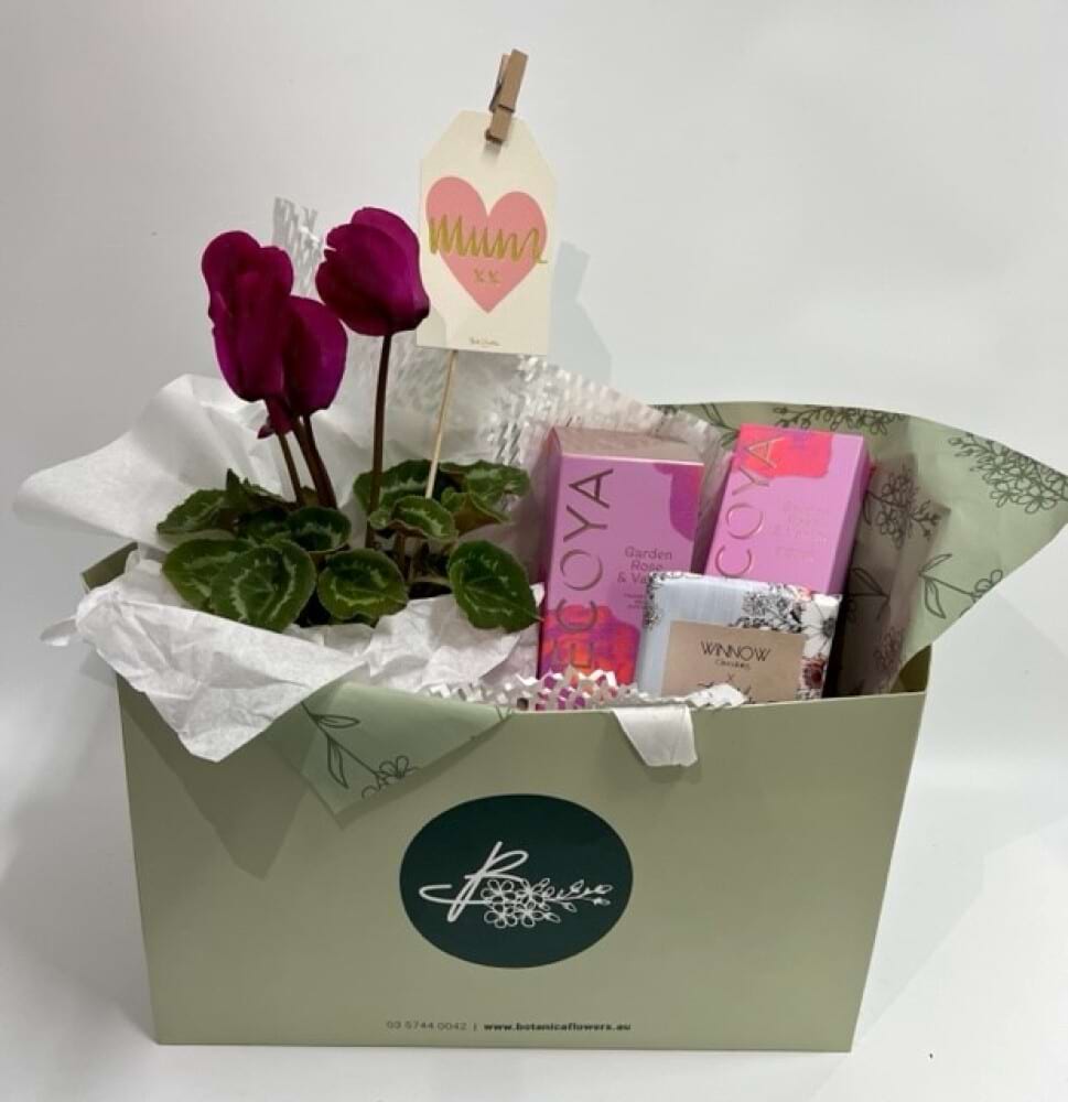 Flowering plant pack