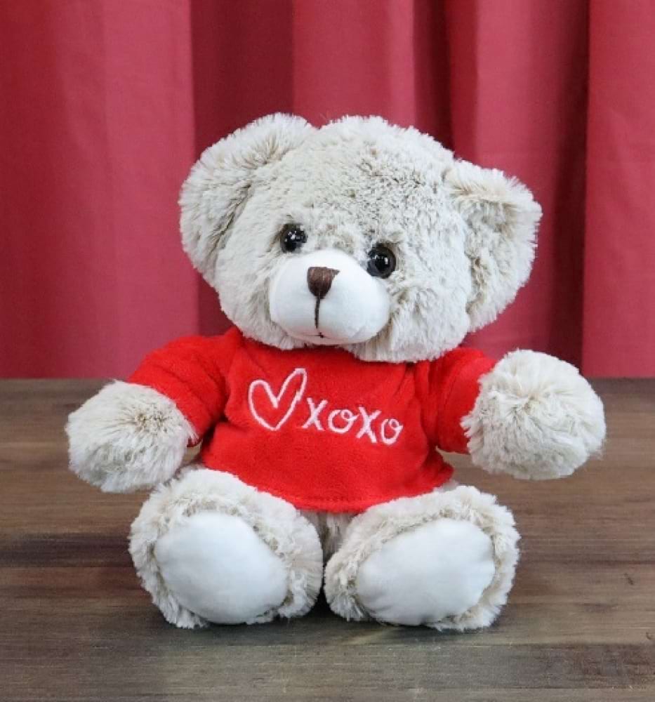 Teddy XO